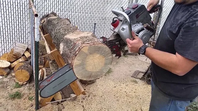 chainsaw-tree-removal-Escondido Palomar Park Mobile Home Park