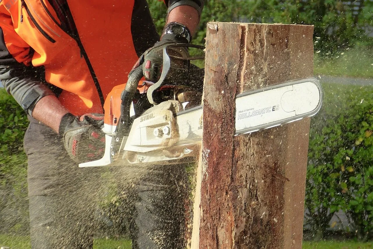 chainsaw-tree-removal-service-Escondido Casa de Amigos Mobile Home Park